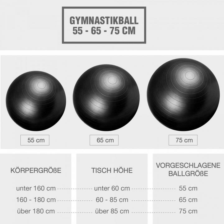 Actual product image Gorilla Sports Exercise ball (55 cm)