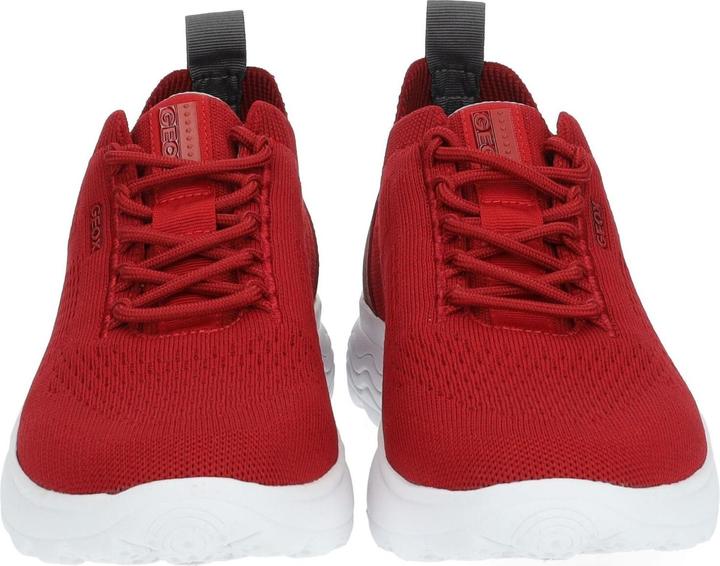 Actual product image Geox Sneaker (41)