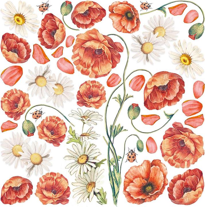 Actual product image Ciao Bella Vellum Paper "Enchanted Land", 15 x 15 cm, 6 sheets (90 g/m², 6 x)