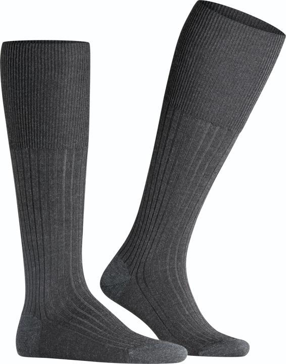 Produktbild Falke Bristol Pure KH (45 - 46)