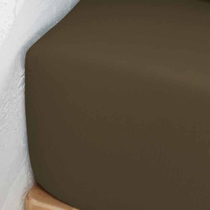 Produktbild La Redoute Interieurs Percale Bio (180 x 200 cm)