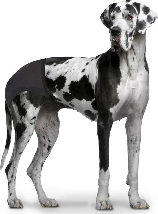 Image du produit EBI Pantalon pour chien (Chien)