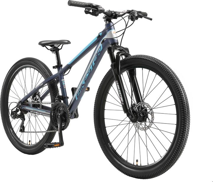 Immagine prodotto Bikestar Hardtail (33 cm)