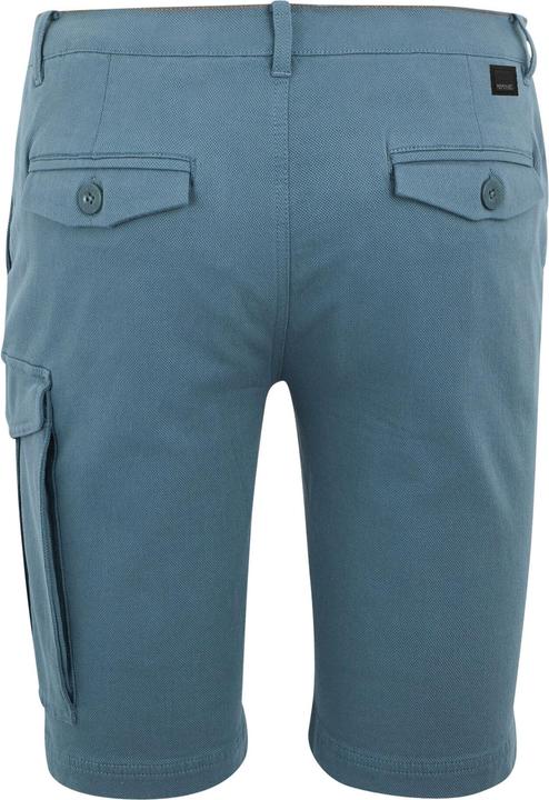 Produktbild Regatta Bendrick Shorts (30)