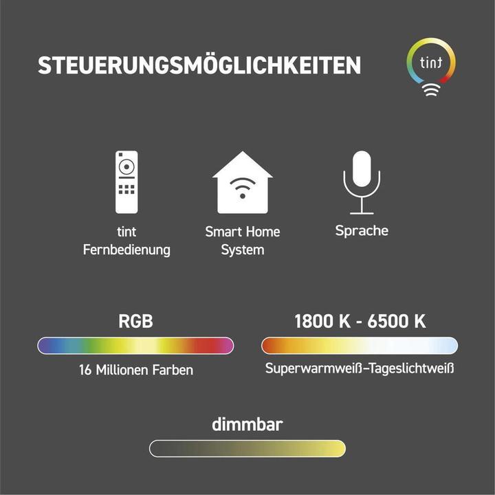 Produktbild Müller Licht Müller-Licht tint LED-Gartenspot Flores LED fest eingebaut 1.8 W Warmweiss, RGB (180 lm, IP44)