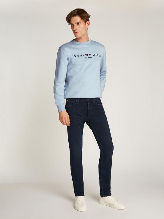 Image du produit Tommy Hilfiger 10021310 (W31/L32)