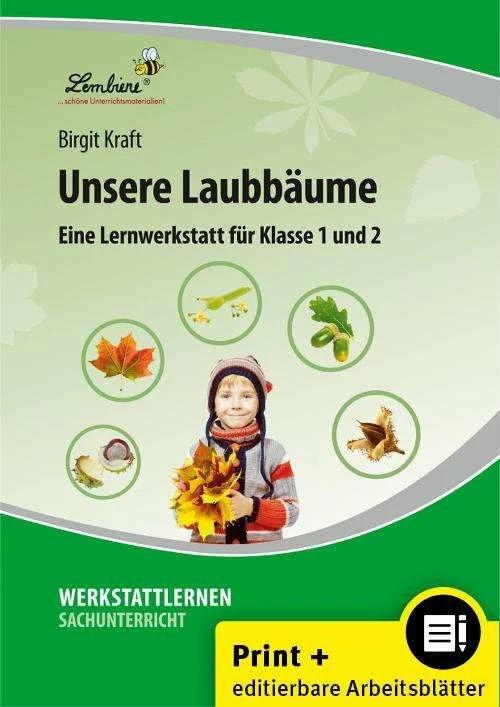 Produktbild Unsere Laubbäume. Grundschule, Sachunterricht, Klasse 1-2 (Deutsch, Birgit Kraft, 2024)