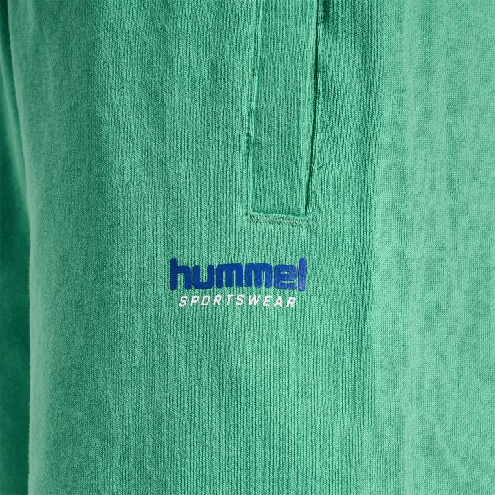 Image du produit hummel hmlLGC SHAI SHORTS (M)