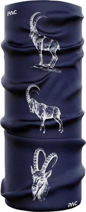 Capricorn