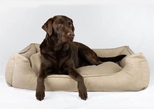 Immagine prodotto Bjørnfjell Letto per cani Senja (Cane)