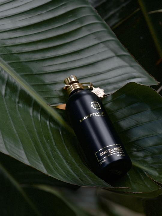 Image du produit Montale Eau de Parfum Unisexe Oud Island Vapo 100 ml (Eau de parfum, 100 ml)