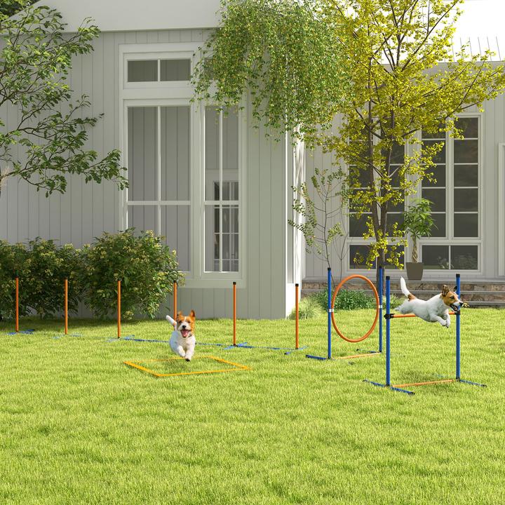 Immagine prodotto PawHut Hunde Agility Set Kunststoff, Oxfordstoff Orange+Blau (Destrezza)