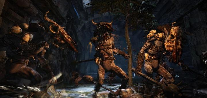 Image du produit Capcom Dragon's Dogma : Dark Arisen -US- (Switch, Switch Lite, Switch OLED, EN)