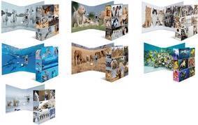 Actual product image HERMA A4 folder motif (A4, 70 mm, 1 Piece)