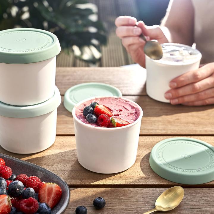 Actual product image Springlane Ice cream containers for ice cream