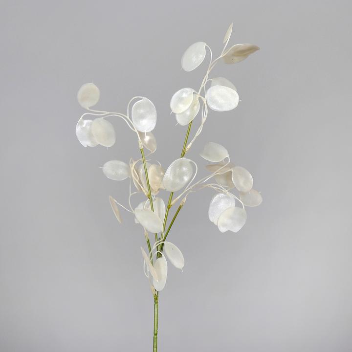 Produktbild DPI Lunaria Zweig, L 71 cm