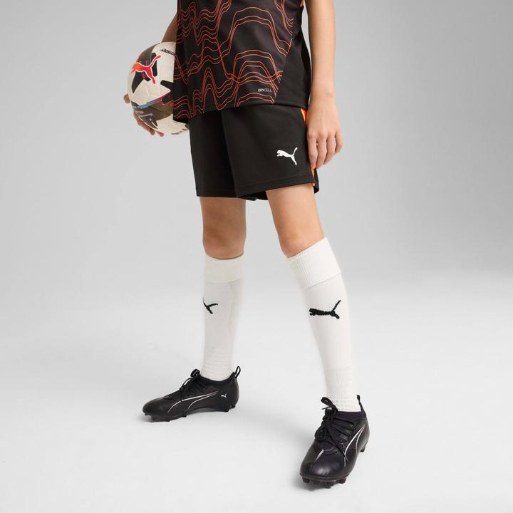 Image du produit Puma IndividualLIGA Training Shorts 2 Jr (poches ouvertes) (140)