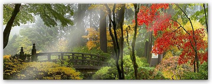 Image du produit Trenddeko Jardin japonais (40 x 100 cm)