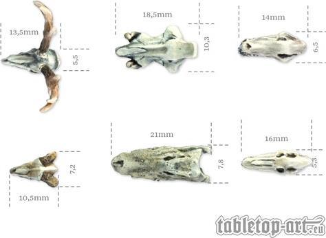 Actual product image Tabletop-Art Accessories Animals Skulls Set 6 pieces (Plastic)