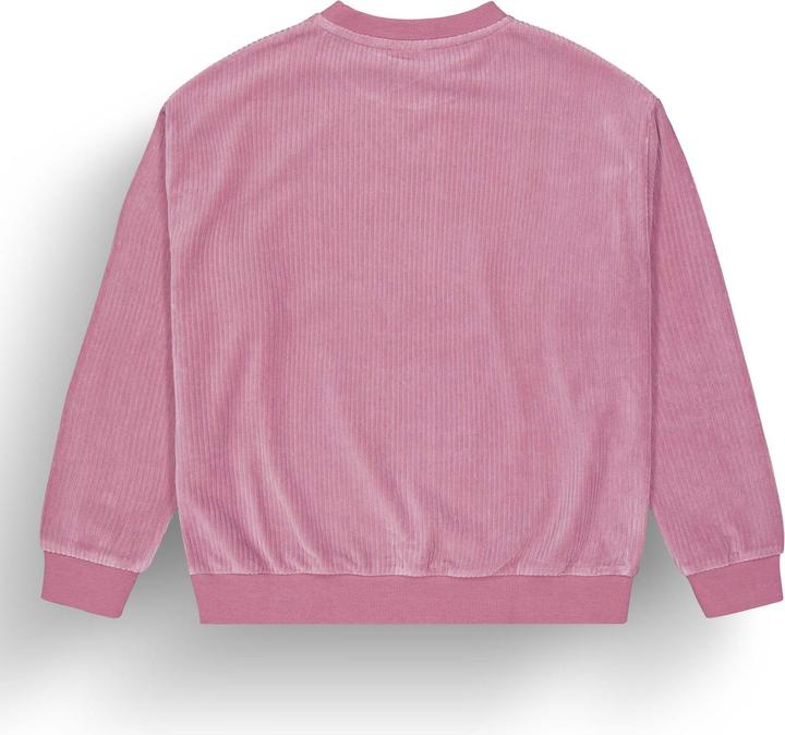 Actual product image Picture Laikko (XS)