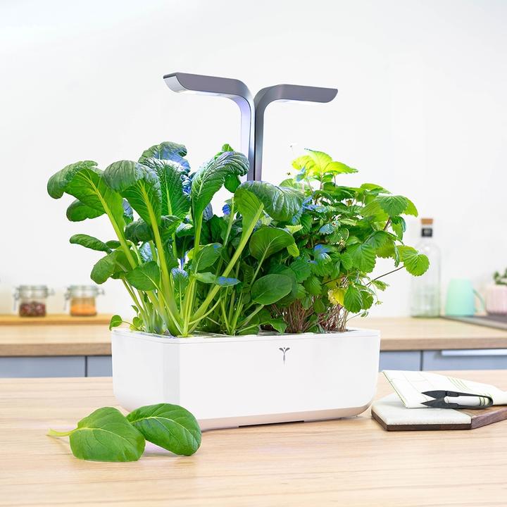 Produktbild Véritable Connect Indoor Garden (18 cm)