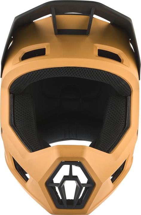 Image du produit ALPINA SPORTS Pikes Mips (52 - 55 cm)