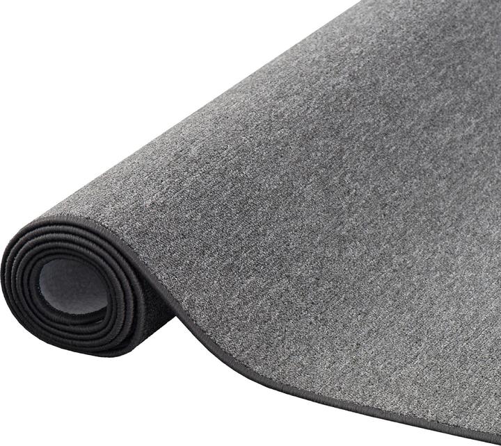 Image du produit Snapstyle Tapis en velours à boucles fines Forte (80 x 400 cm)