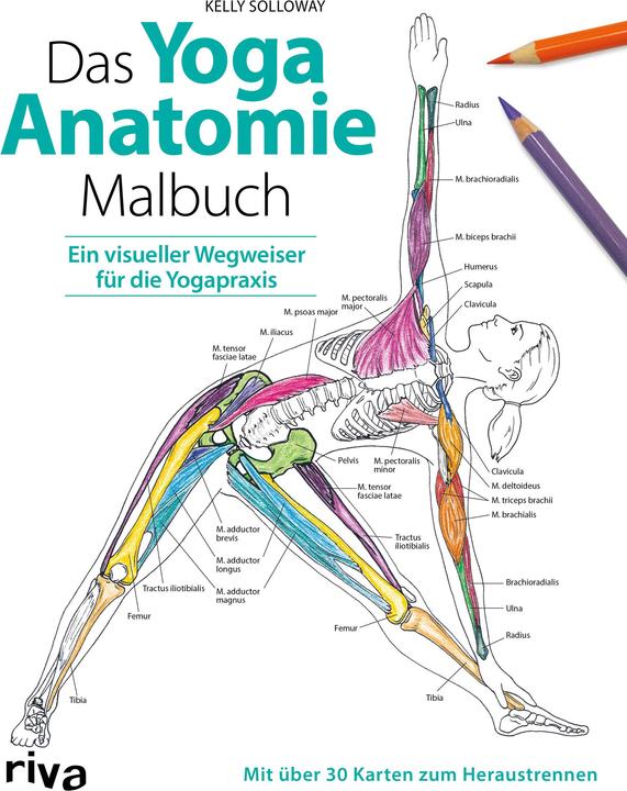 Image du produit Solloway:Das Yoga-Anatomie-Malbuch (Allemand, Kelly Solloway, Samantha Stutzman, 2019)
