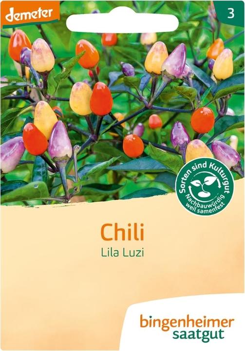 Bingenheimer Saatgut Chili Lila Luzi