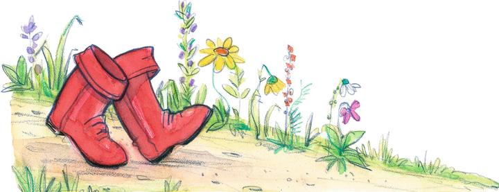 Produktbild Prinzessin Lillifee und das verzauberte Märchenbuch (Deutsch)