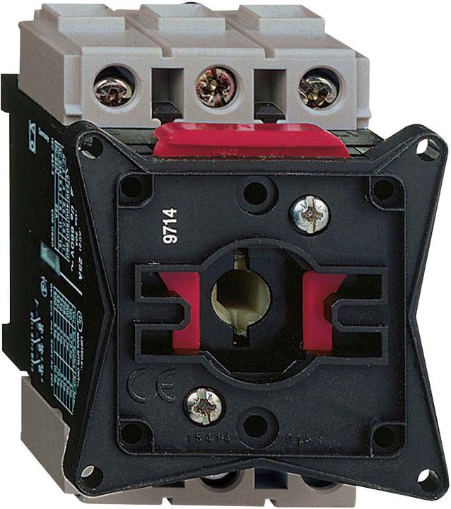 Image du produit Schneider Electric Interrupteur-sectionneur 40A