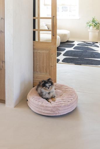 Actual product image Designed by Lotte Reza reclining cushion (Dog)