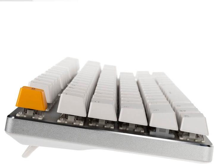 Actual product image Glorious PC Gaming Race GMMK TKL White Ice Edition (US, Cable)