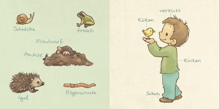 Produktbild Die winzige Mini-Bibliothek der Tiere - 6 Mini-Pappbilderbücher im Schuber (Die grosse (Deutsch)