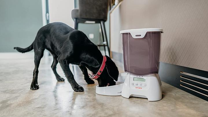 Actual product image Cat Mate C3000 (3 l)