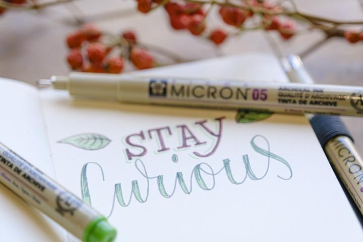 Produktbild Sakura Fineliner Pigma Micron 02 blau 0,3mm (Blau, 1 x)