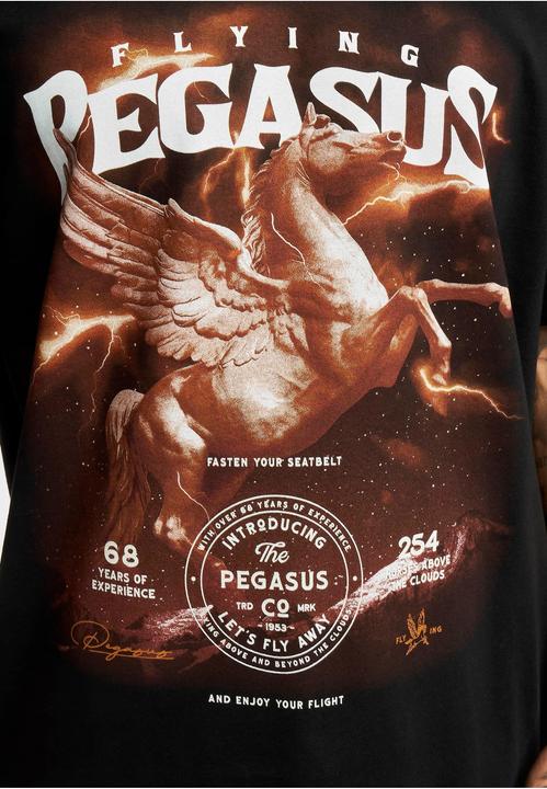 Produktbild MT Pegasus Oversize Tee (XL)