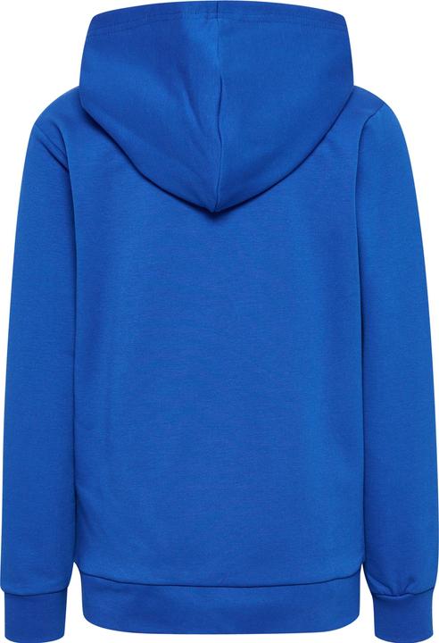 Actual product image hummel hmlCUATRO HOODIE (134)