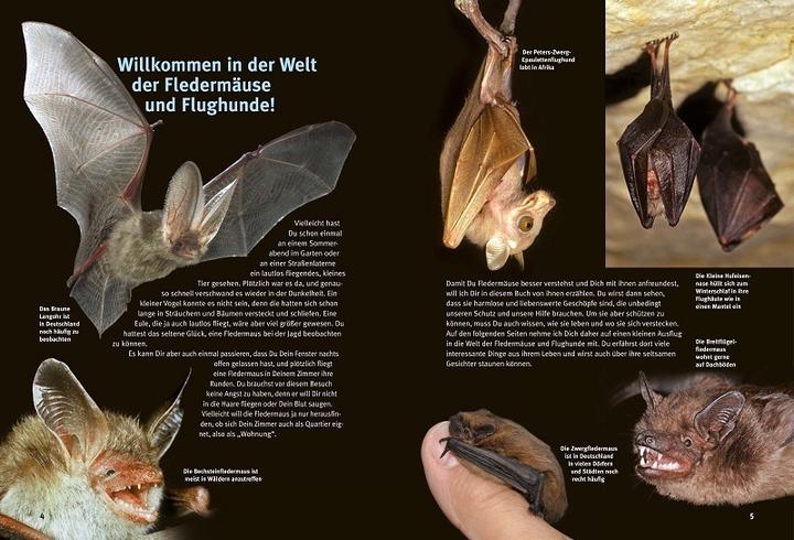 Immagine prodotto Scopri i pipistrelli (Tedesco, Eckhard Grimmberger, 2022)