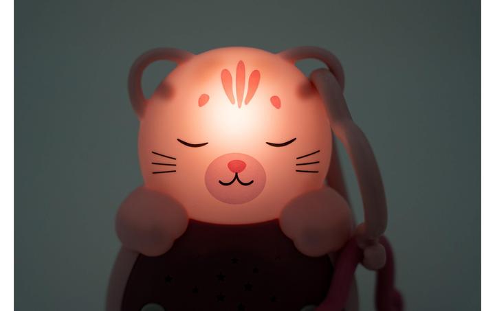 Actual product image Cloud B Sleep aid Sweet dreamz on the go cat