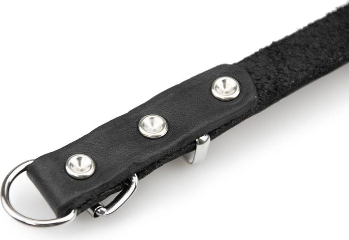 Actual product image Karlie Collar Rondo with strain relief (M, Dog, Walks)