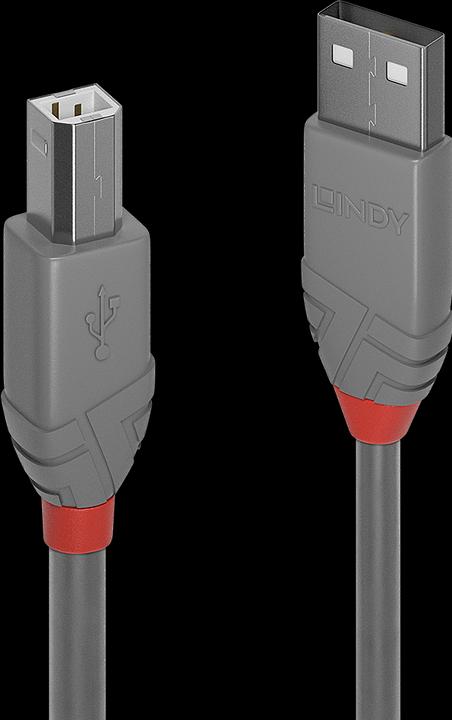 Image du produit Lindy USB/A-USB/B M-M (3 m, USB 2.0)