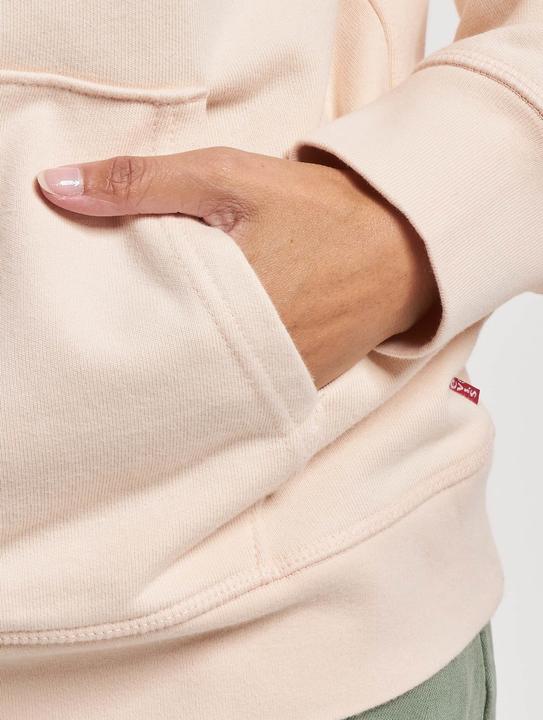Actual product image Levis Graphic Standard Hoodie - 91027 (XS)