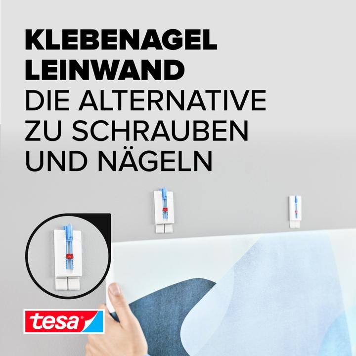 Image du produit tesa Canvas Adhesive Nail Wallpaper & Plaster Height Adjustable