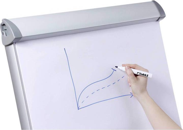 Actual product image Dahle Flipchart board Flip-Chart Professional 76-76011-15731