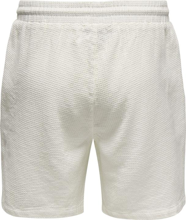 Produktbild Only & Sons ONSBERTIL Normal geschnitten Shorts Sweat-Shorts (S)