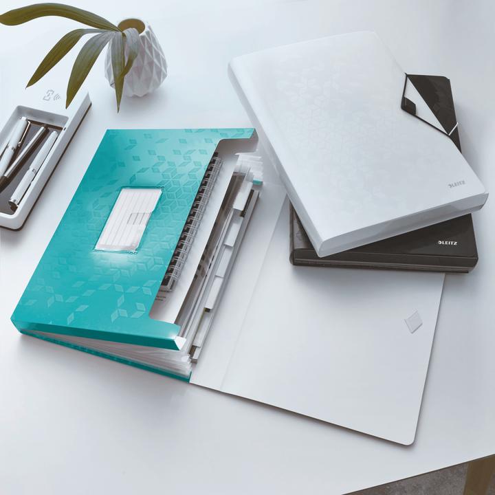 Actual product image Leitz Wow project folder (A4, 1 x)
