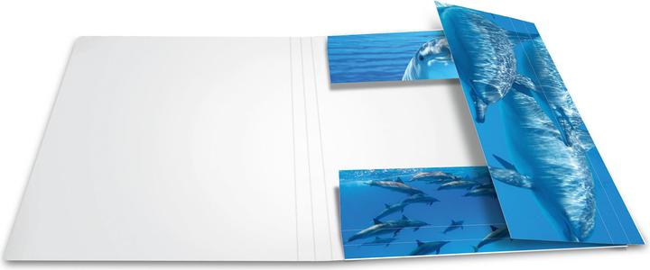 Produktbild HERMA Sammelmappe A3 Motiv (A3, 1 x)