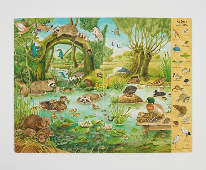 Image du produit Das Riesen-Natur-Wimmelbuch (Allemand, Christine Henkel, 2018)