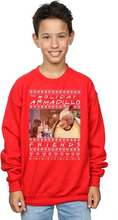 Immagine prodotto Friends Fair Isle Holiday Armadillo Felpa Ragazzi (152, 158)